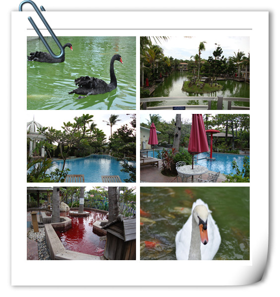 臺(tái)灣山水風(fēng)景