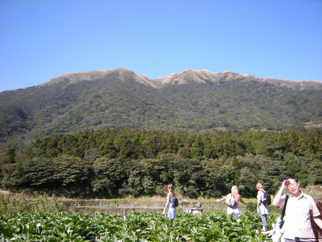 陽明山公園