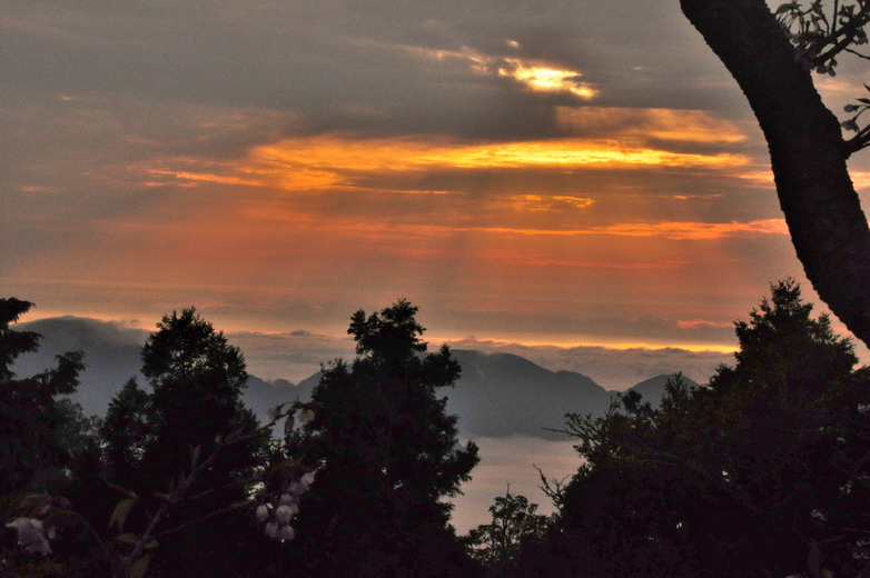 <a href='http://www.zhuangxiu888.com/lvyou/view/224' title='阿里山' style='color:blue;font-size:14px;'>阿里山</a> 日出