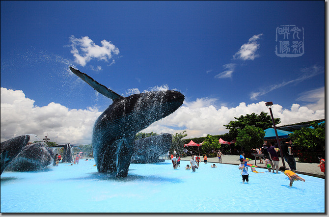 海洋生物博物館