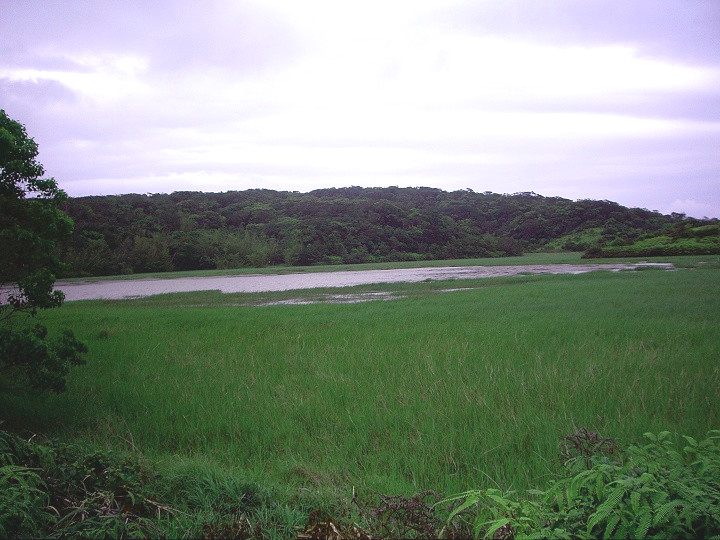 <a href='http://www.zhuangxiu888.com/lvyou/view/235' title='南仁山' style='color:blue;font-size:14px;'>南仁山</a>生態保護區