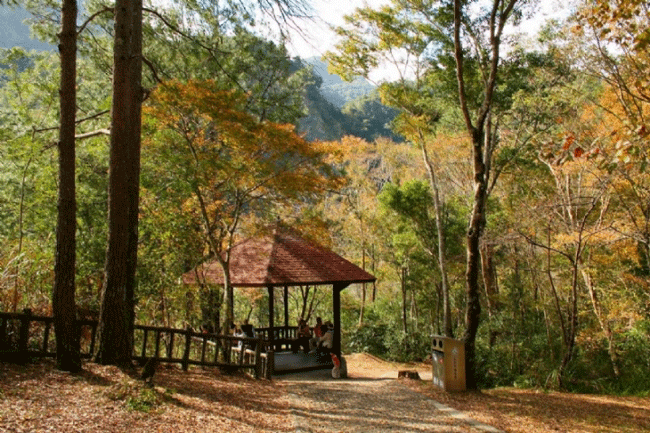 南投<a href='http://www.zhuangxiu888.com/lvyou/view/596' title='奧萬' style='color:blue;font-size:14px;'>奧萬</a>大森林