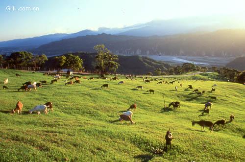 臺東花東縱谷風景區