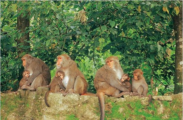 臺南西拉雅風景區