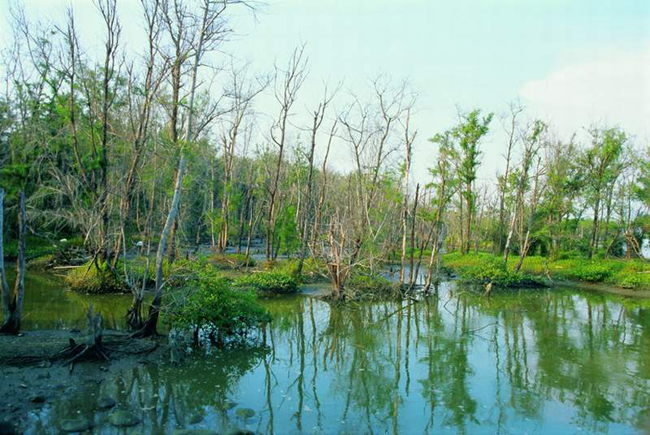 好美寮自然保護區(qū)