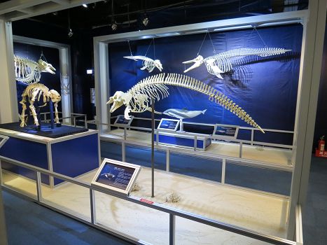 陽明海洋文化藝術(shù)館