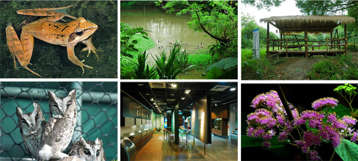 芝山文化生態(tài)綠園