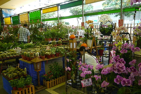 建國(guó)假日花市