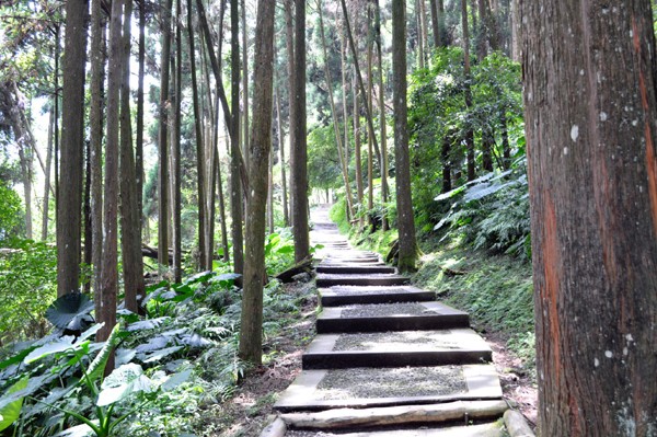 溪頭自然教育園區(qū)