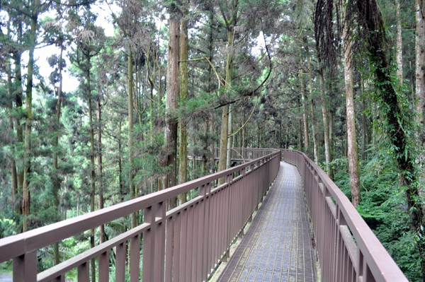 溪頭自然教育園區(qū)