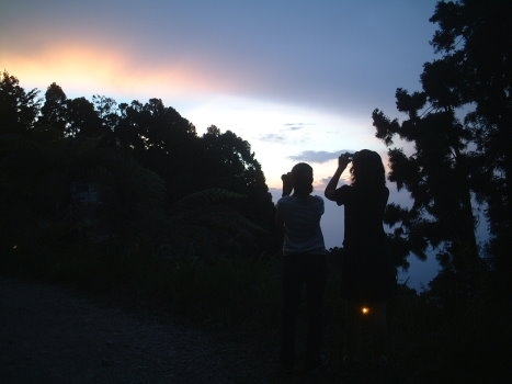 藤枝森林風景區