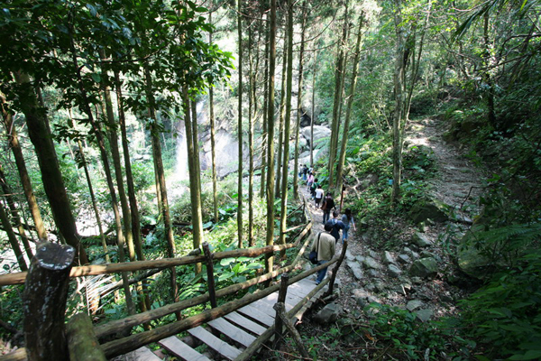 馬武督探索森林