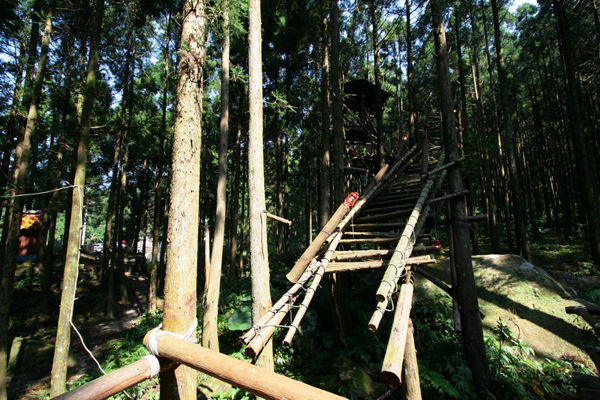 馬武督探索森林