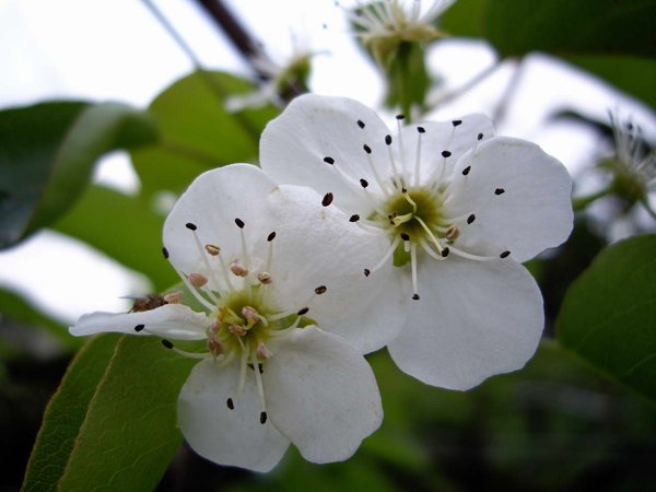 東勢(shì)林場(chǎng)