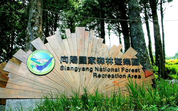 向陽森林游樂區