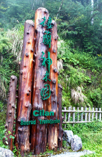 棲蘭森林游樂區