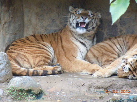 新竹市立動(dòng)物園