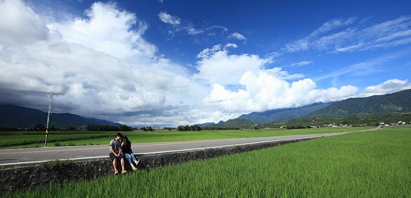 池上鄉(xiāng)伯朗大道，美到讓人們贊嘆不已