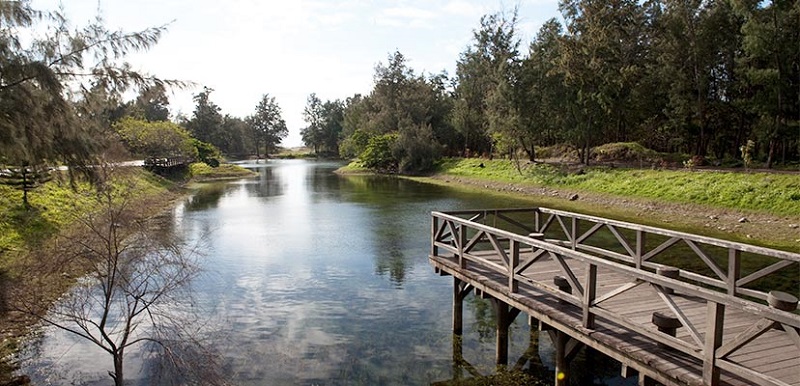 自然形成的天然湖泊琵琶湖,宛如一幅自然畫作