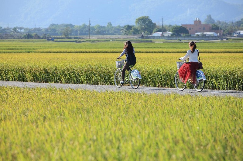 自行車(chē)騎行在伯朗大道