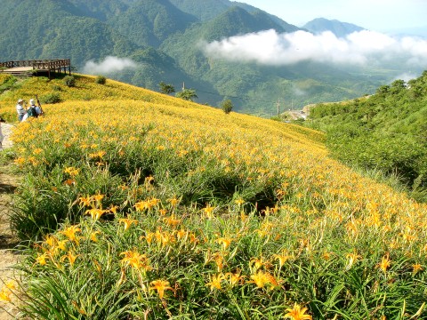 德森有機(jī)農(nóng)場(chǎng)