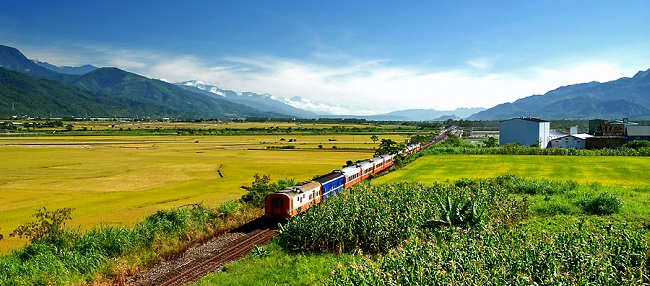 遠(yuǎn)眺花蓮富里鄉(xiāng)農(nóng)會(huì)