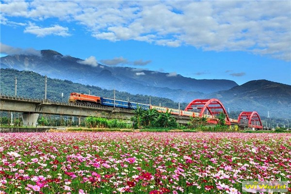 富里鄉(xiāng)農(nóng)會(huì)花季