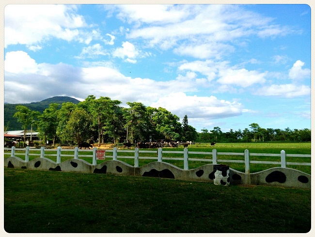瑞穗牧場(chǎng)